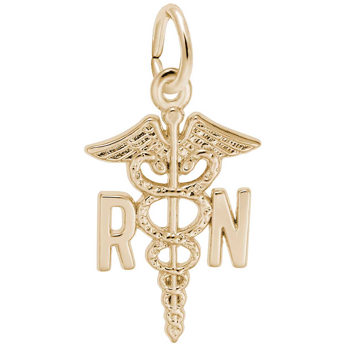 AMZ Jewelry 10K Yellow Gold Medical Symbol Caduceus Pendant Charm RN Pendant