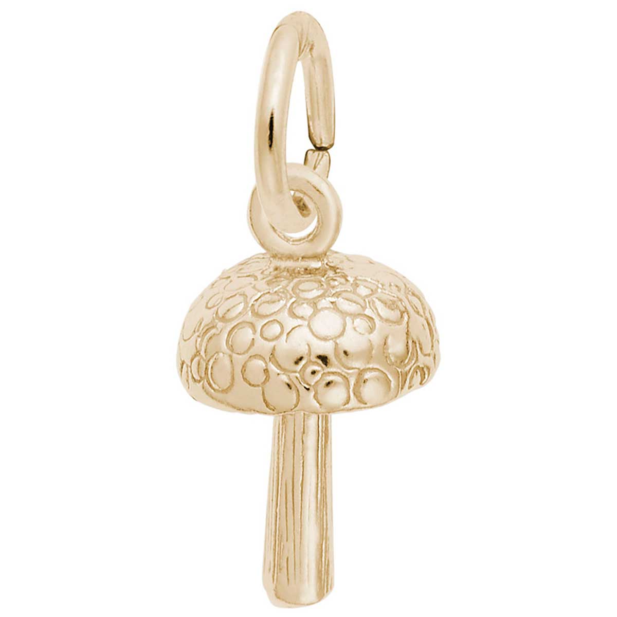 110259-3135 10 Mushroom Charm Antique Bronze Tone