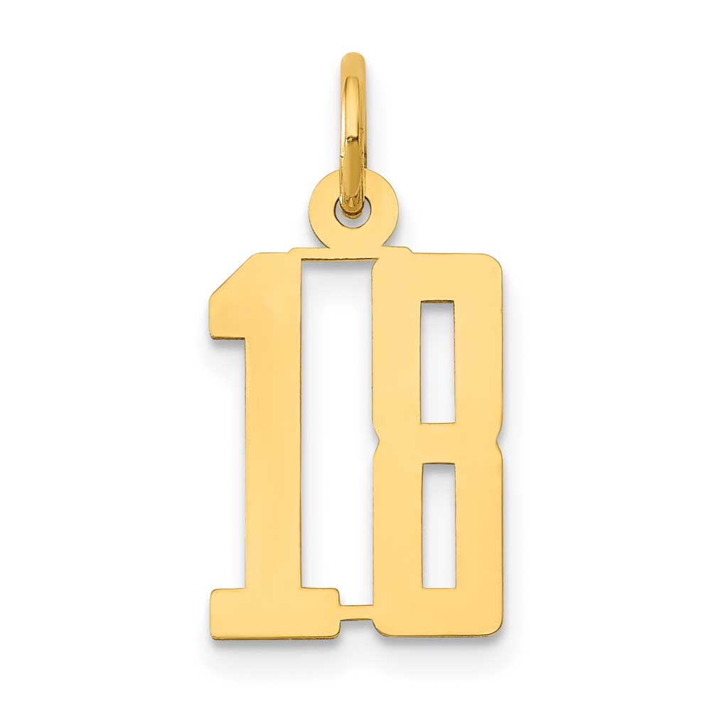 14K Gold Small Elongated Number 18 Charm: Precious Accents, Ltd.