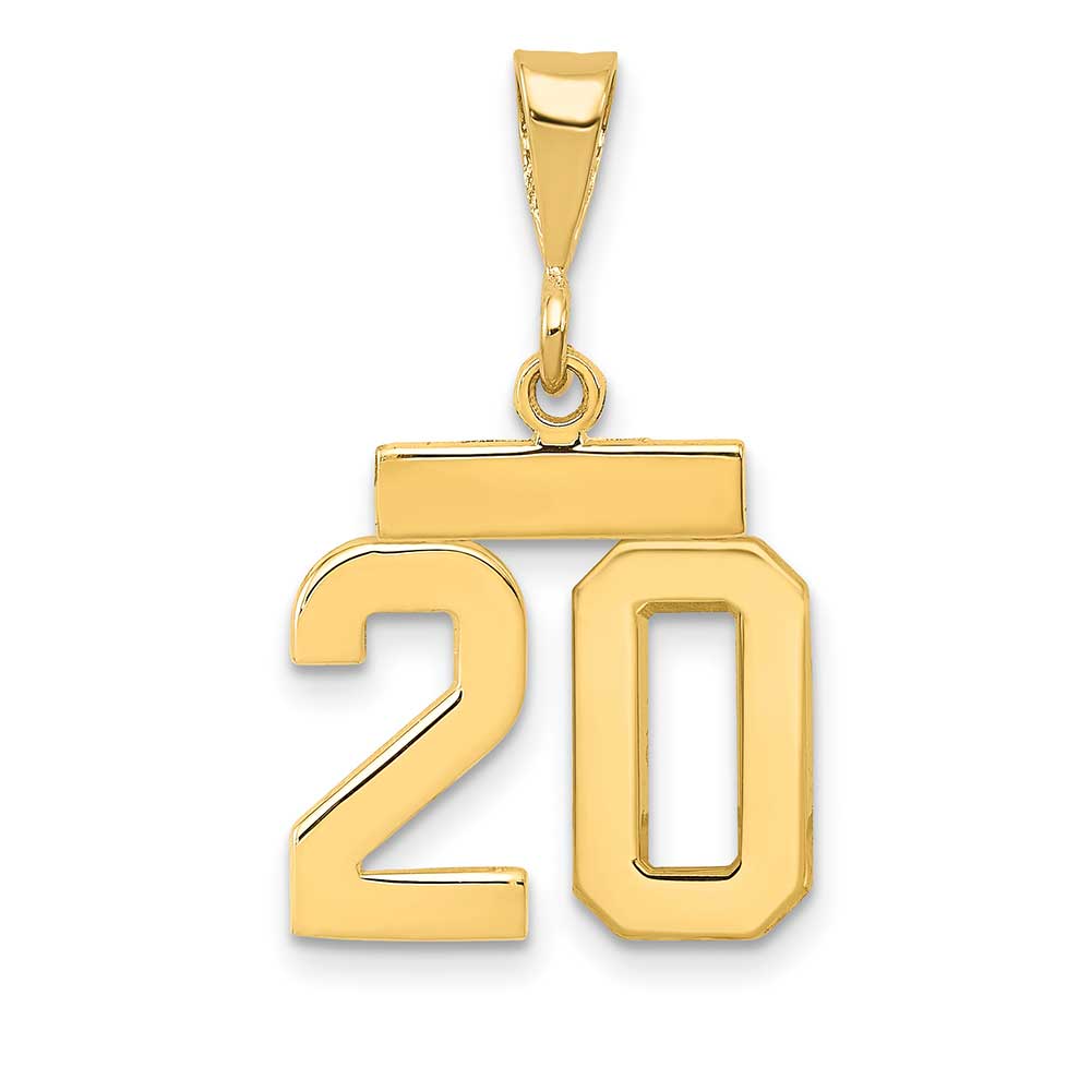 14K Gold Polished Small Number 20 Charm: Precious Accents, Ltd.