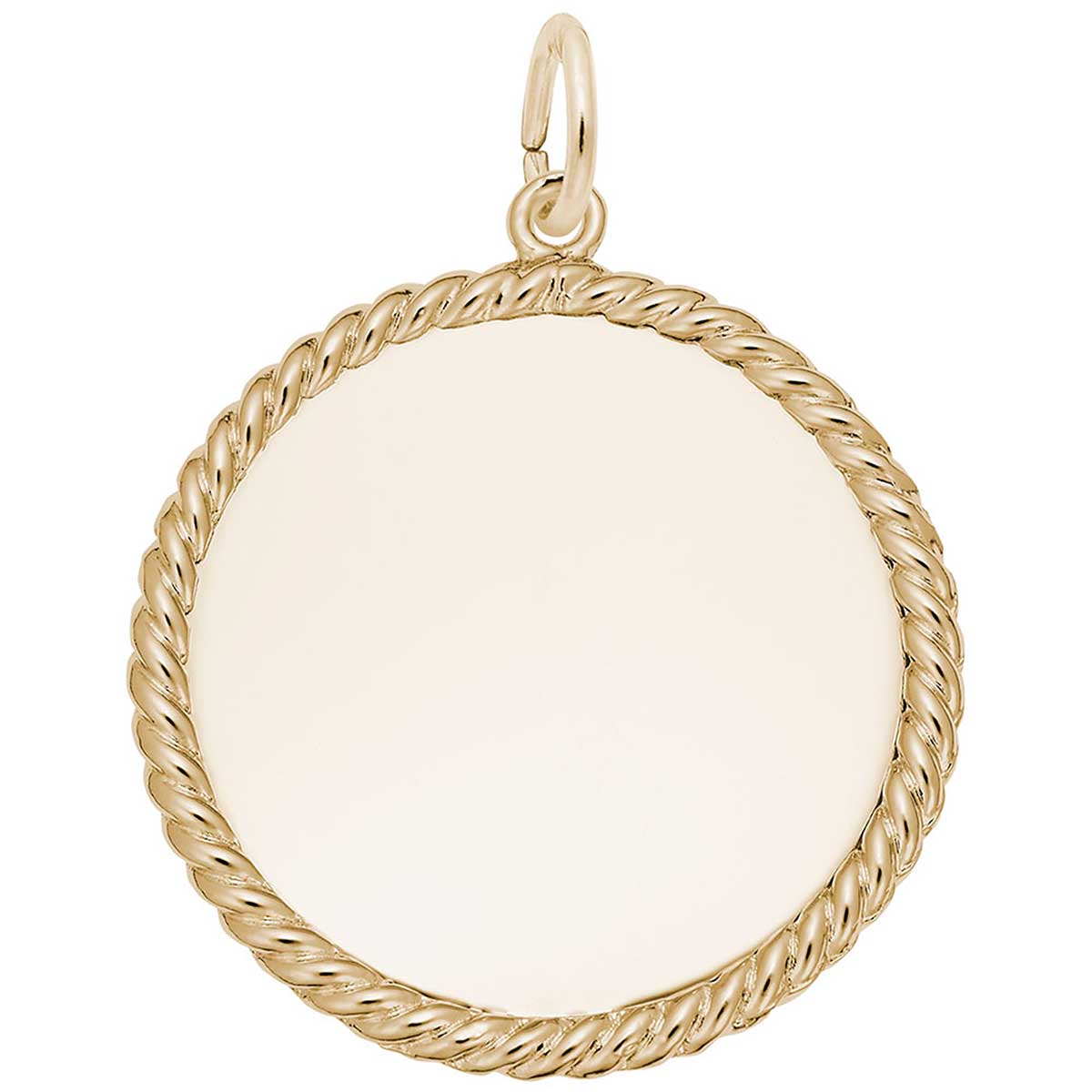 Rembrandt Charms 14K Yellow Gold Frisbee Charm on a 16 Box or Curb Chain Necklace 18 or 20 inch Rope